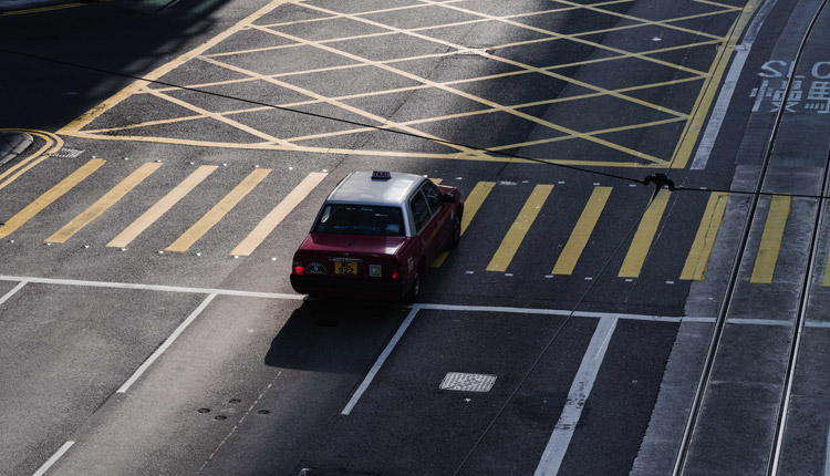 ممنوع کردن هالیوی زمستان به عنوان جزایر پیشنهاد می کند